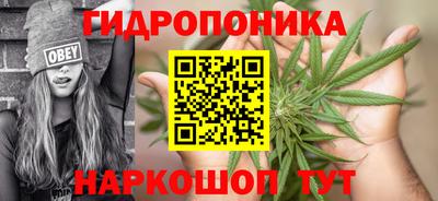 синтетический гашиш Кингисепп
