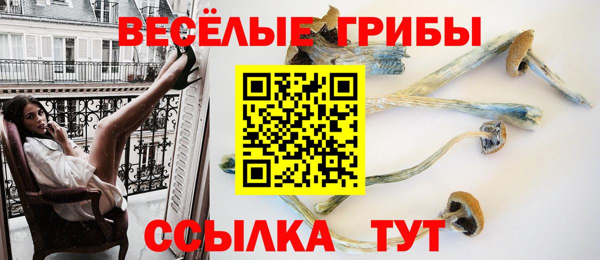 Домодедово  Галлюциногенные грибы GOLDEN TEACHER  Вход с VPN 