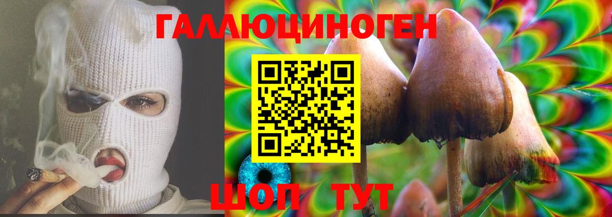 Галлюциногенные грибы Magic Shrooms Домодедово